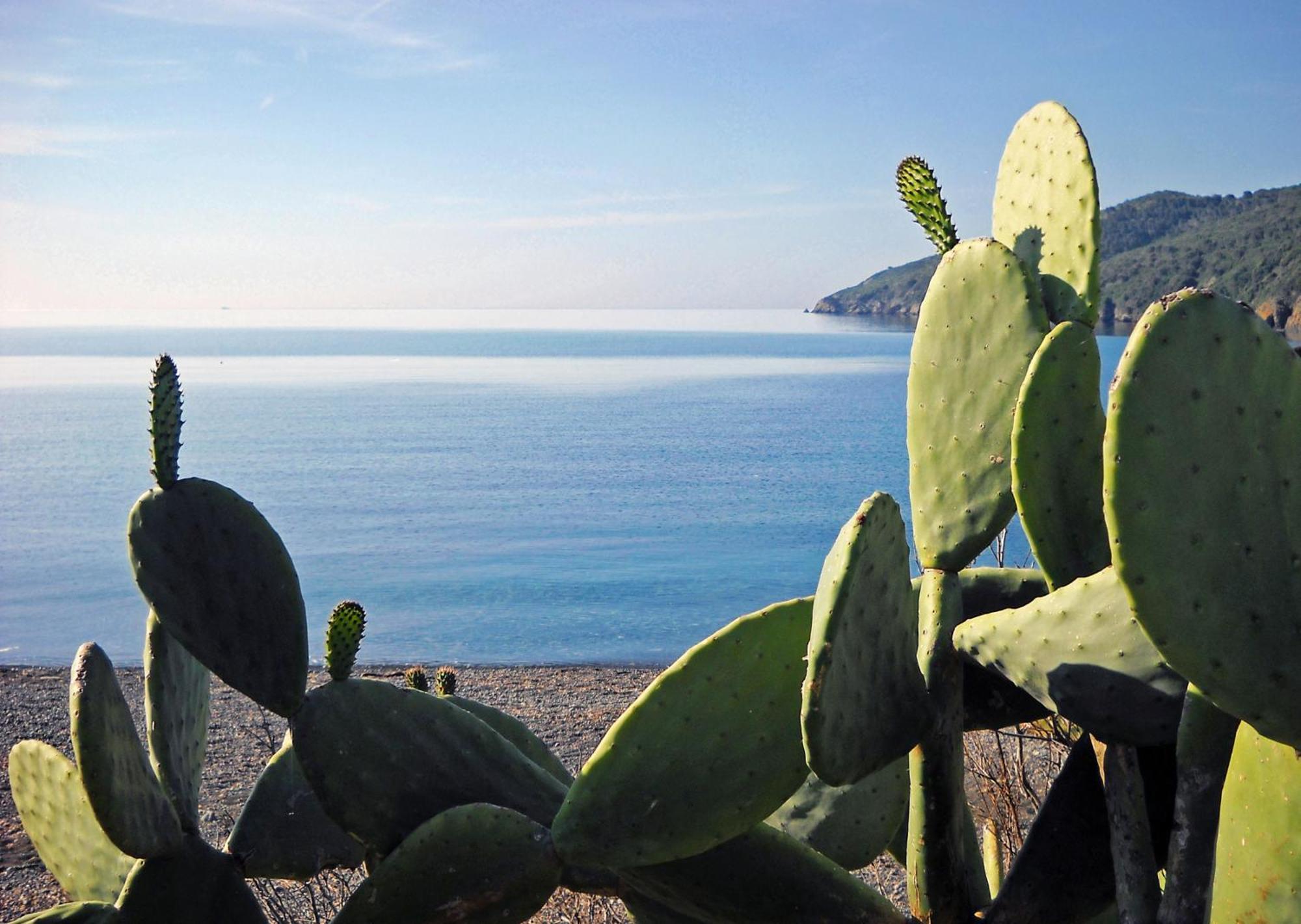 Hotel Capo Sud Lacona Bagian luar foto