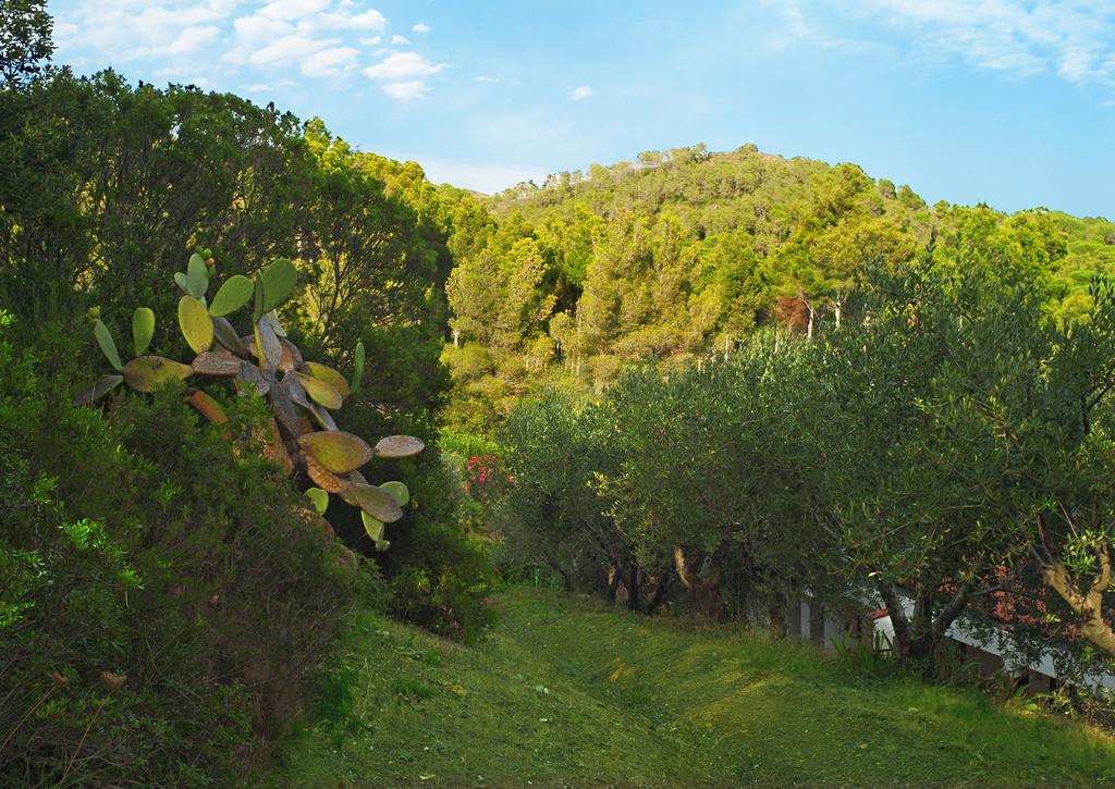 Hotel Capo Sud Lacona Bagian luar foto